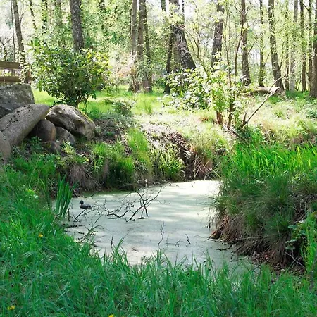 Daire Hof Esterau - Lila