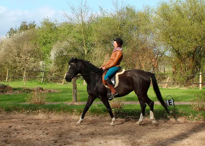 Lejlighed Hof Esterau - Lila *